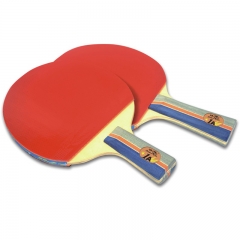 Yuan Dong Double Fish Low Price Ping Pong for Beginners