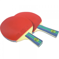 Yuan Dong Double Fish Indoor Ping Pong Racquet