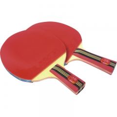 Yuan Dong Double Fish Lower Price Ping Pong Racket