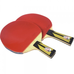 Yuan Dong Double Fish Premium Table Tennis Racket