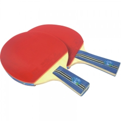 Yuan Dong Double Fish Pimples in Ping Pong Racquet